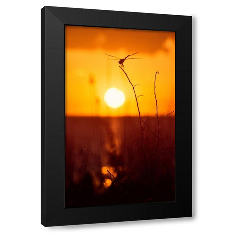 Still Moments Black Modern Wood Framed Art Print by ODell, Debbie