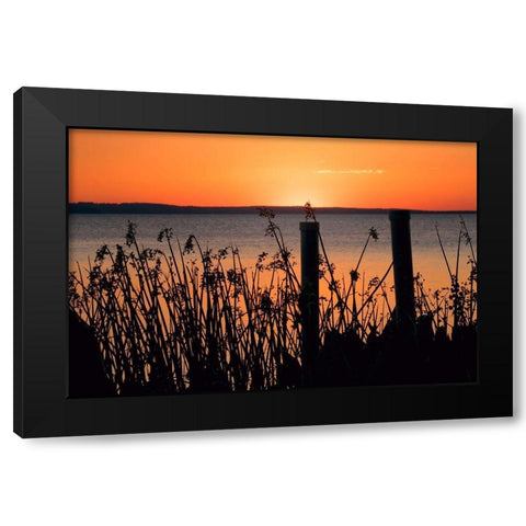 Sundown Coast Black Modern Wood Framed Art Print by ODell, Debbie