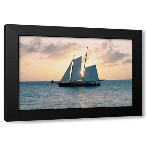 Coastal Sailing Black Modern Wood Framed Art Print by ODell, Debbie