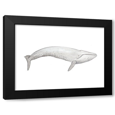 Great Gray Whale Black Modern Wood Framed Art Print with Double Matting by SD Graphics Studio