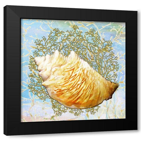 Shell Medley IV Black Modern Wood Framed Art Print by Diannart