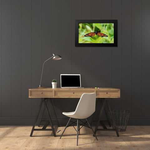 On a Leaf Black Modern Wood Framed Art Print by Mansfield, Kathy