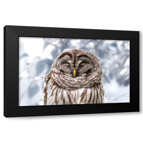 Winter Feathers Black Modern Wood Framed Art Print by Mansfield, Kathy