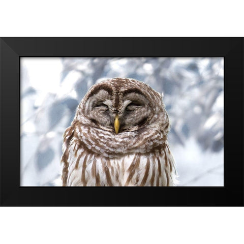 Winter Feathers Black Modern Wood Framed Art Print by Mansfield, Kathy