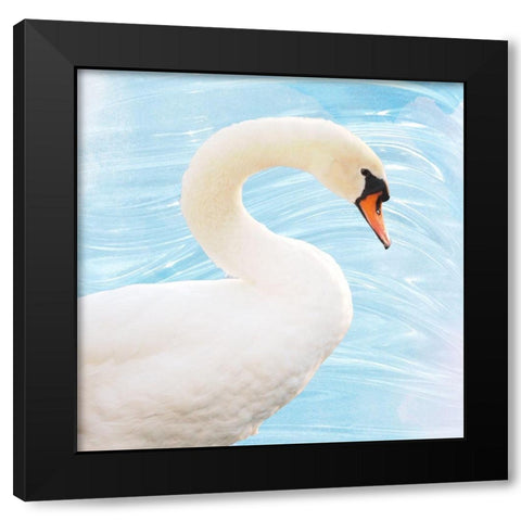 White Swan Black Modern Wood Framed Art Print with Double Matting by Peck, Gail