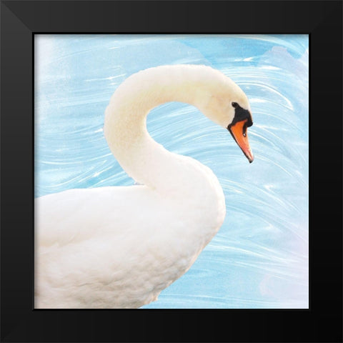 White Swan Black Modern Wood Framed Art Print by Peck, Gail