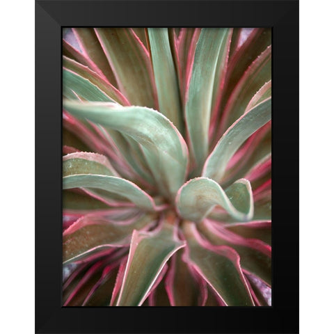 Pink Agave Black Modern Wood Framed Art Print by Bryant, Susan