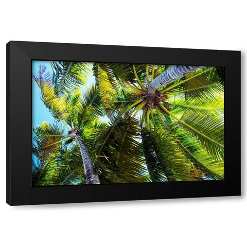 The Shady Spots I Black Modern Wood Framed Art Print with Double Matting by Navas, Emily