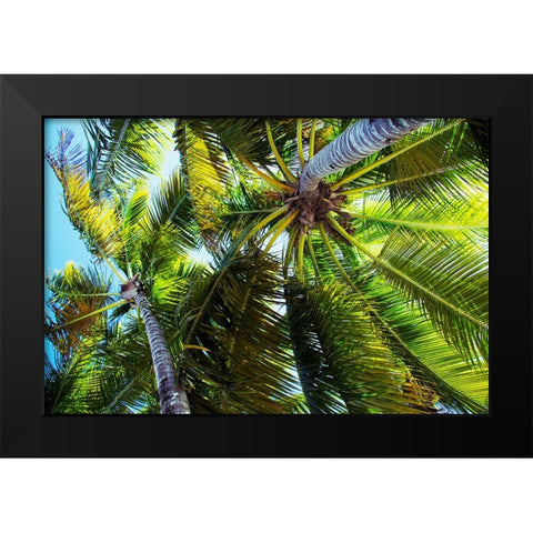 The Shady Spots I Black Modern Wood Framed Art Print by Navas, Emily