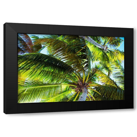 The Shady Spots II Black Modern Wood Framed Art Print with Double Matting by Navas, Emily