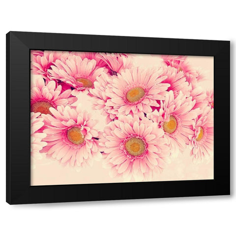 Pink Daisies I Black Modern Wood Framed Art Print with Double Matting by Navas, Emily