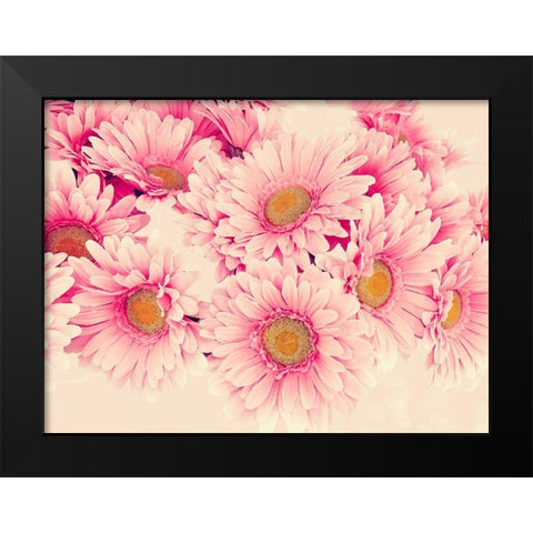Pink Daisies I Black Modern Wood Framed Art Print by Navas, Emily