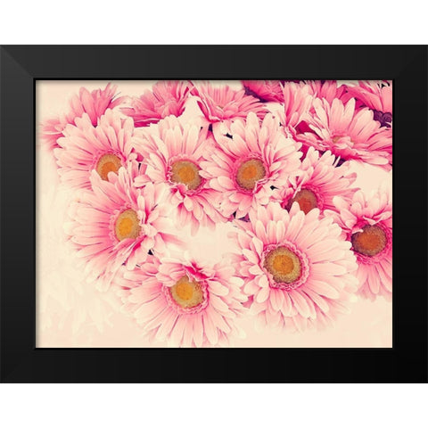 Pink Daisies II Black Modern Wood Framed Art Print by Navas, Emily