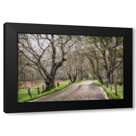 Late Afternoon Walk Black Modern Wood Framed Art Print with Double Matting by Amos, Andy