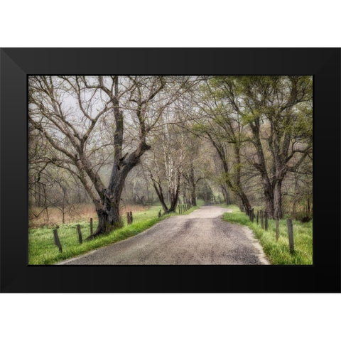 Late Afternoon Walk Black Modern Wood Framed Art Print by Amos, Andy