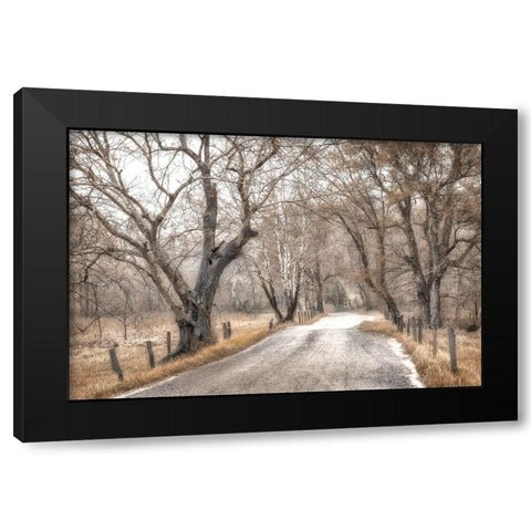 Late Afternoon Walk Black Modern Wood Framed Art Print with Double Matting by Amos, Andy