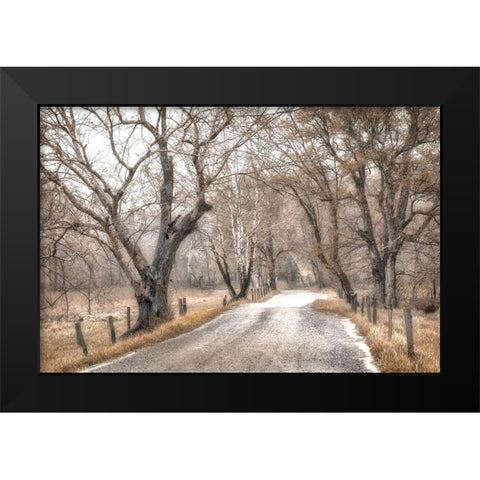 Late Afternoon Walk Black Modern Wood Framed Art Print by Amos, Andy