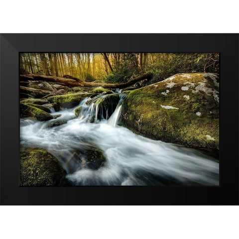 Fallen Timber Black Modern Wood Framed Art Print by Amos, Andy