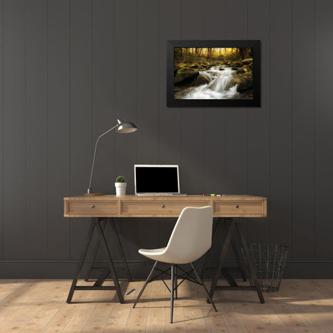 Roaring Fork Black Modern Wood Framed Art Print by Amos, Andy