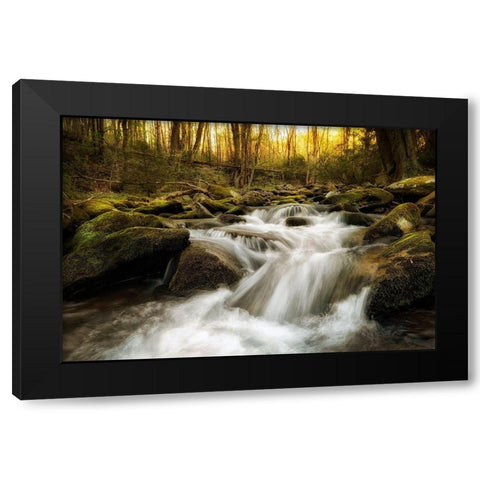 Roaring Fork Black Modern Wood Framed Art Print with Double Matting by Amos, Andy
