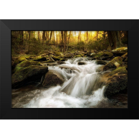 Roaring Fork Black Modern Wood Framed Art Print by Amos, Andy