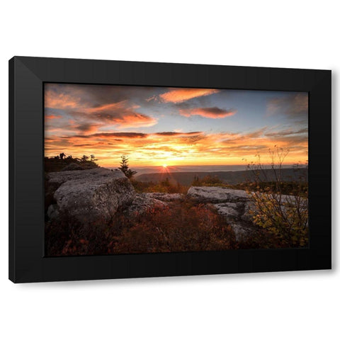 Sunrise in Fall I Black Modern Wood Framed Art Print by Amos, Andy