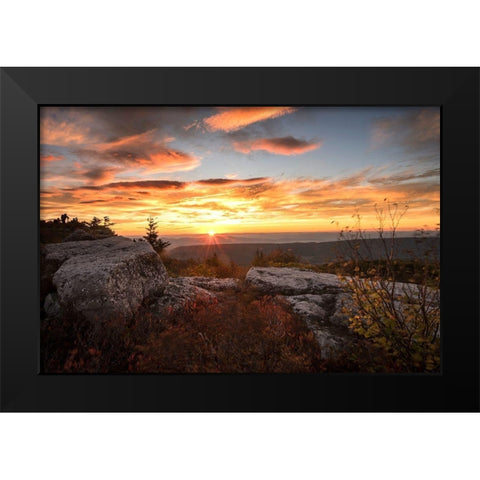 Sunrise in Fall I Black Modern Wood Framed Art Print by Amos, Andy