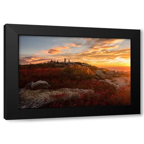 Sunrise in Fall II Black Modern Wood Framed Art Print with Double Matting by Amos, Andy