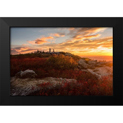 Sunrise in Fall II Black Modern Wood Framed Art Print by Amos, Andy