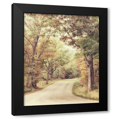 Along The Path Black Modern Wood Framed Art Print by Amos, Andy