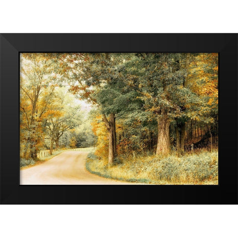 Crisp Season Black Modern Wood Framed Art Print by Amos, Andy