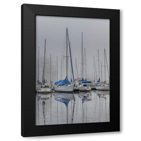 Sailing Boats Black Modern Wood Framed Art Print with Double Matting by Amos, Andy