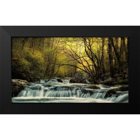 Tremont at Sunrise Black Modern Wood Framed Art Print by Amos, Andy