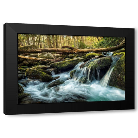 Sticks and Stones Black Modern Wood Framed Art Print with Double Matting by Amos, Andy