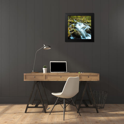 Forest River Black Modern Wood Framed Art Print by Amos, Andy