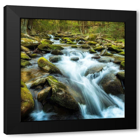 Forest River Black Modern Wood Framed Art Print by Amos, Andy