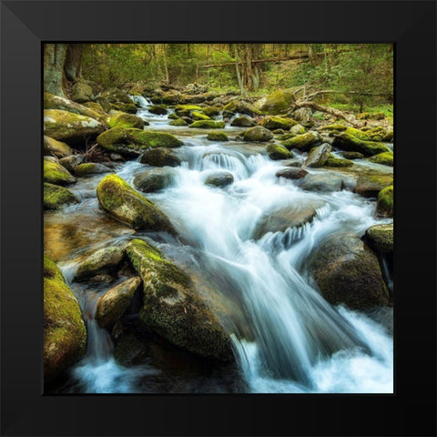 Forest River Black Modern Wood Framed Art Print by Amos, Andy