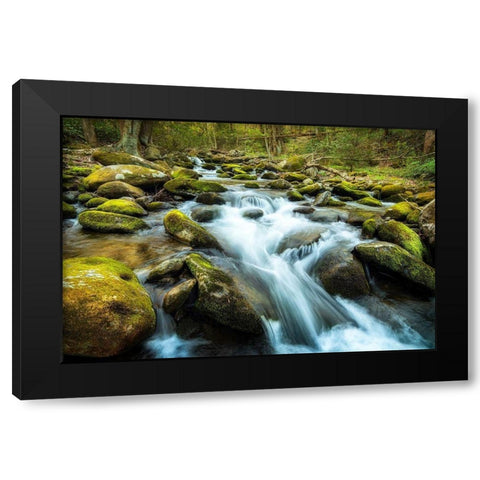 Moss Rocks Black Modern Wood Framed Art Print by Amos, Andy