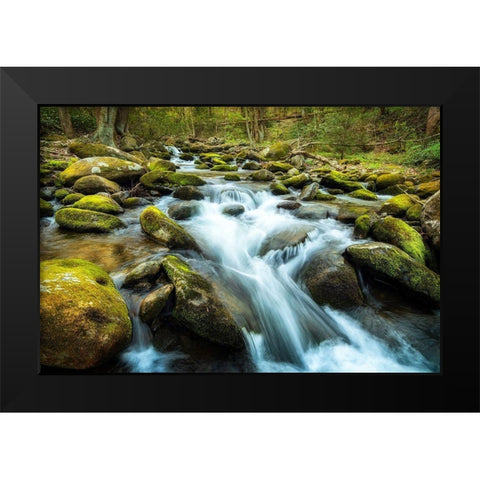 Moss Rocks Black Modern Wood Framed Art Print by Amos, Andy