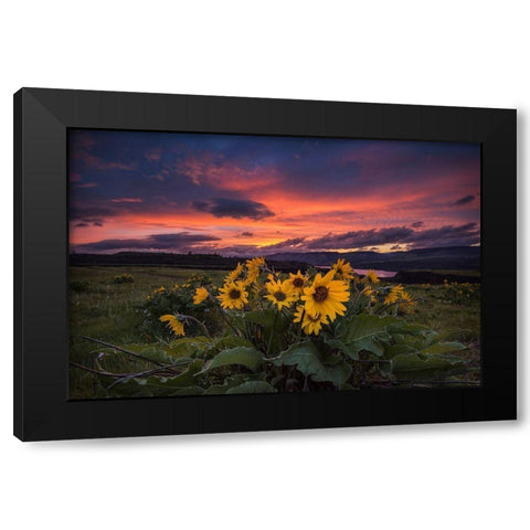 Sunset at the Gorge Black Modern Wood Framed Art Print by Amos, Andy