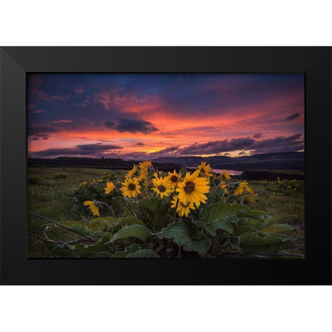 Sunset at the Gorge Black Modern Wood Framed Art Print by Amos, Andy