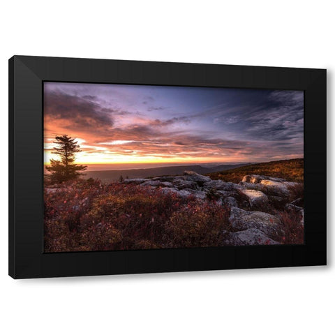 Sunrise in Fall III Black Modern Wood Framed Art Print with Double Matting by Amos, Andy