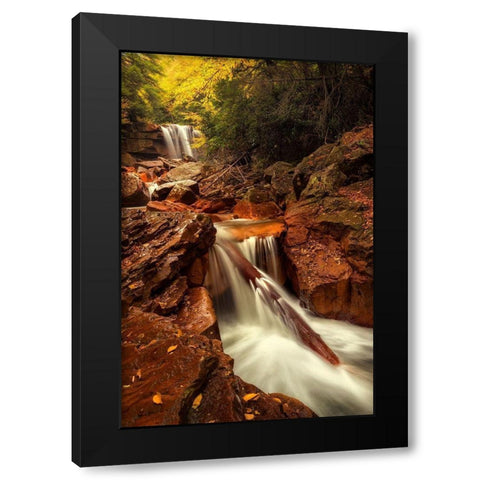 Natures Path Black Modern Wood Framed Art Print with Double Matting by Amos, Andy