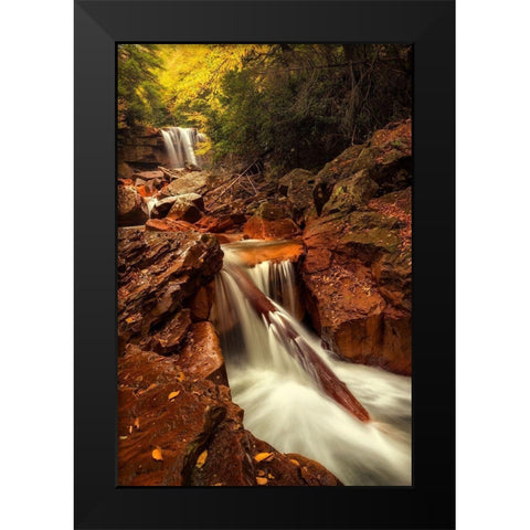 Natures Path Black Modern Wood Framed Art Print by Amos, Andy