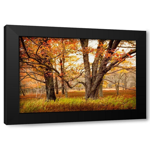 Crossing Paths Black Modern Wood Framed Art Print by Amos, Andy