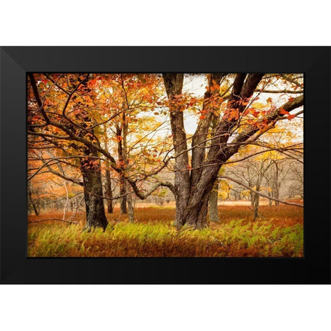 Crossing Paths Black Modern Wood Framed Art Print by Amos, Andy