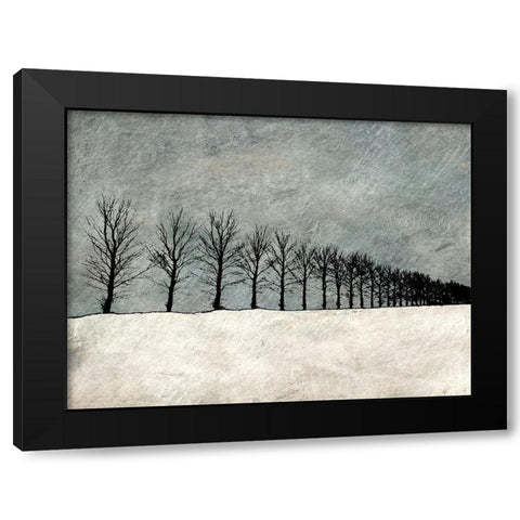 Winter Row Black Modern Wood Framed Art Print with Double Matting by Mabat, Ynon