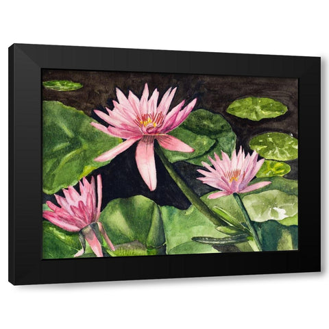 Water Lillies Black Modern Wood Framed Art Print with Double Matting by Odum, Jan