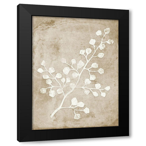 Rustic Floral II Black Modern Wood Framed Art Print by Quach, Anna