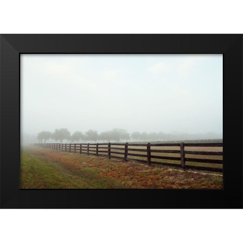 Humid Days Black Modern Wood Framed Art Print by Wilson, Kali